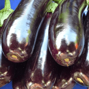 AUBERGINE - 500 g - 4,50 € / kg -